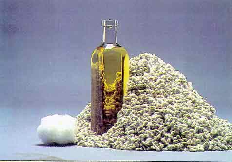 Cotton Seed Oil